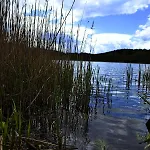 Nad Jeziorem, A Morze W Gratisie