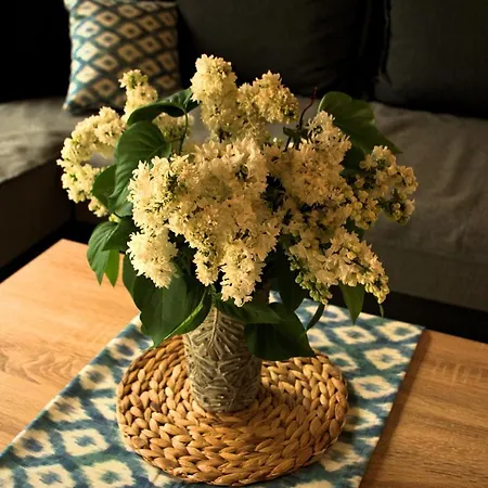 Nad Jeziorem, A Morze W Gratisie Wisełka