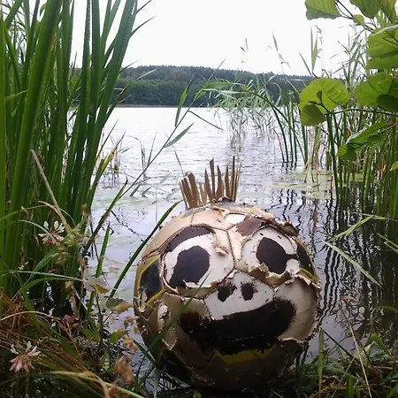 Nad Jeziorem, A Morze W Gratisie Hébergement de vacances