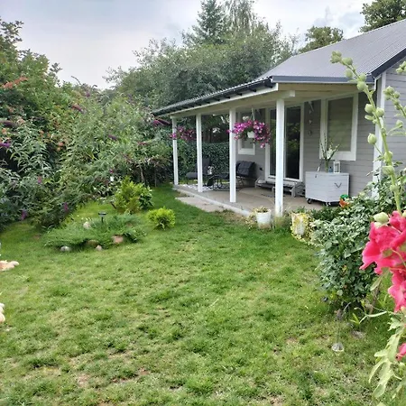 Nad Jeziorem, A Morze W Gratisie *