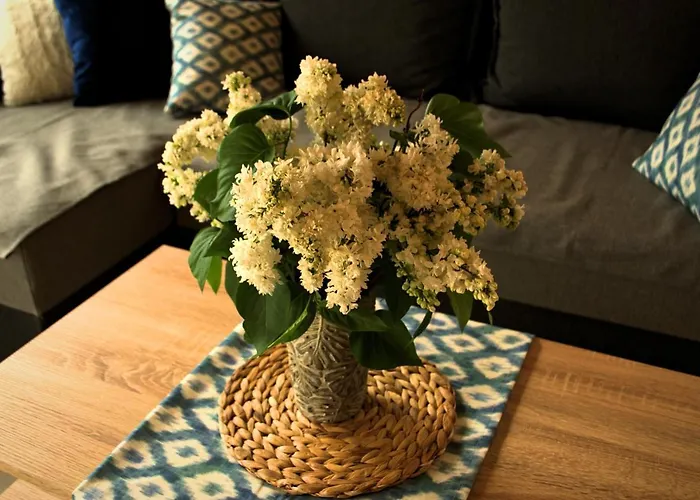 Nad Jeziorem, A Morze W Gratisie Wisełka