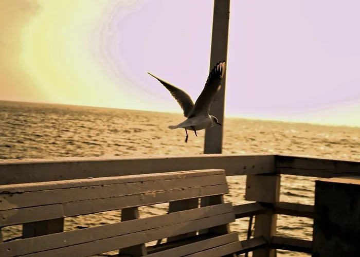 Nad Jeziorem, A Morze W Gratisie *