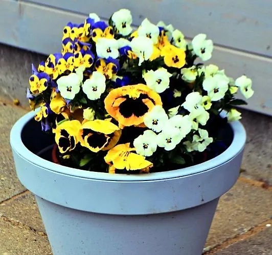 Nad Jeziorem, A Morze W Gratisie Hébergement de vacances *