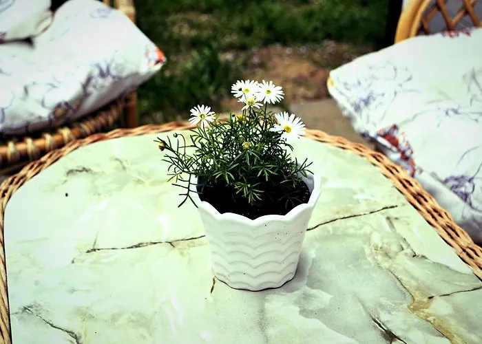 Nad Jeziorem, A Morze W Gratisie