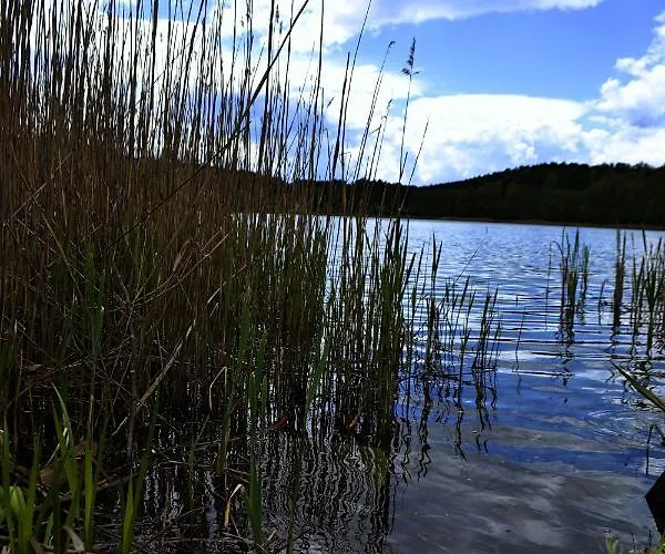 Nad Jeziorem, A Morze W Gratisie