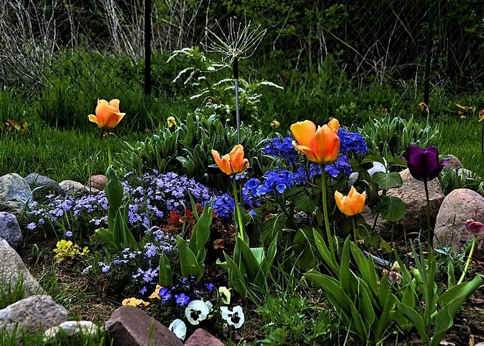 Nad Jeziorem, A Morze W Gratisie * Wisełka