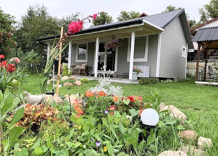 Nad Jeziorem, A Morze W Gratisie Wisełka