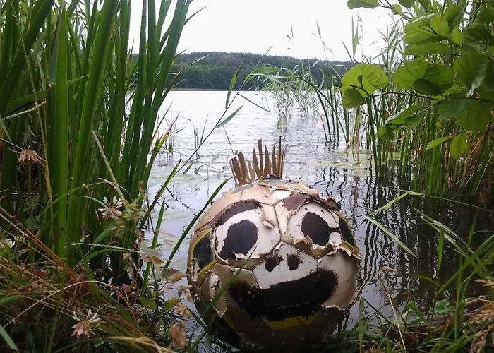 Nad Jeziorem, A Morze W Gratisie Prázdninový dům